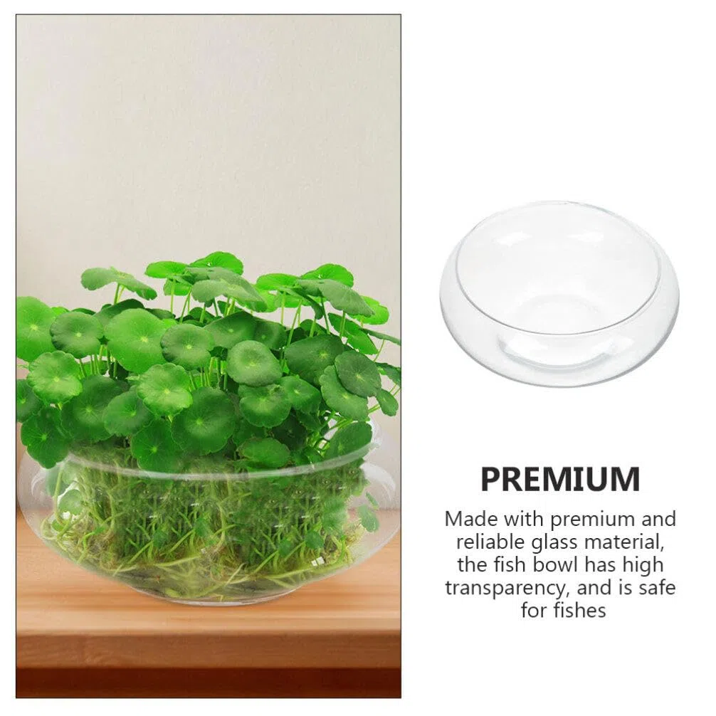 Ipetboom Pecera Redonda Pecera De Cristal Transparente Globo Florero Terrario Maceta Suculenta Soporte para El Hogar Decoración del Banquete De Boda L