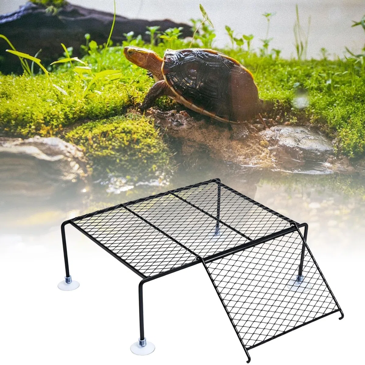 Plataforma para Tomar El Sol para Tortugas Acuáticas: Rampa De Escalada, De Descanso, Muelle Flotante con Soporte De, Muelle De Hábitat para Múltiples Mascotas para Tortugas Acuáticas, Sa