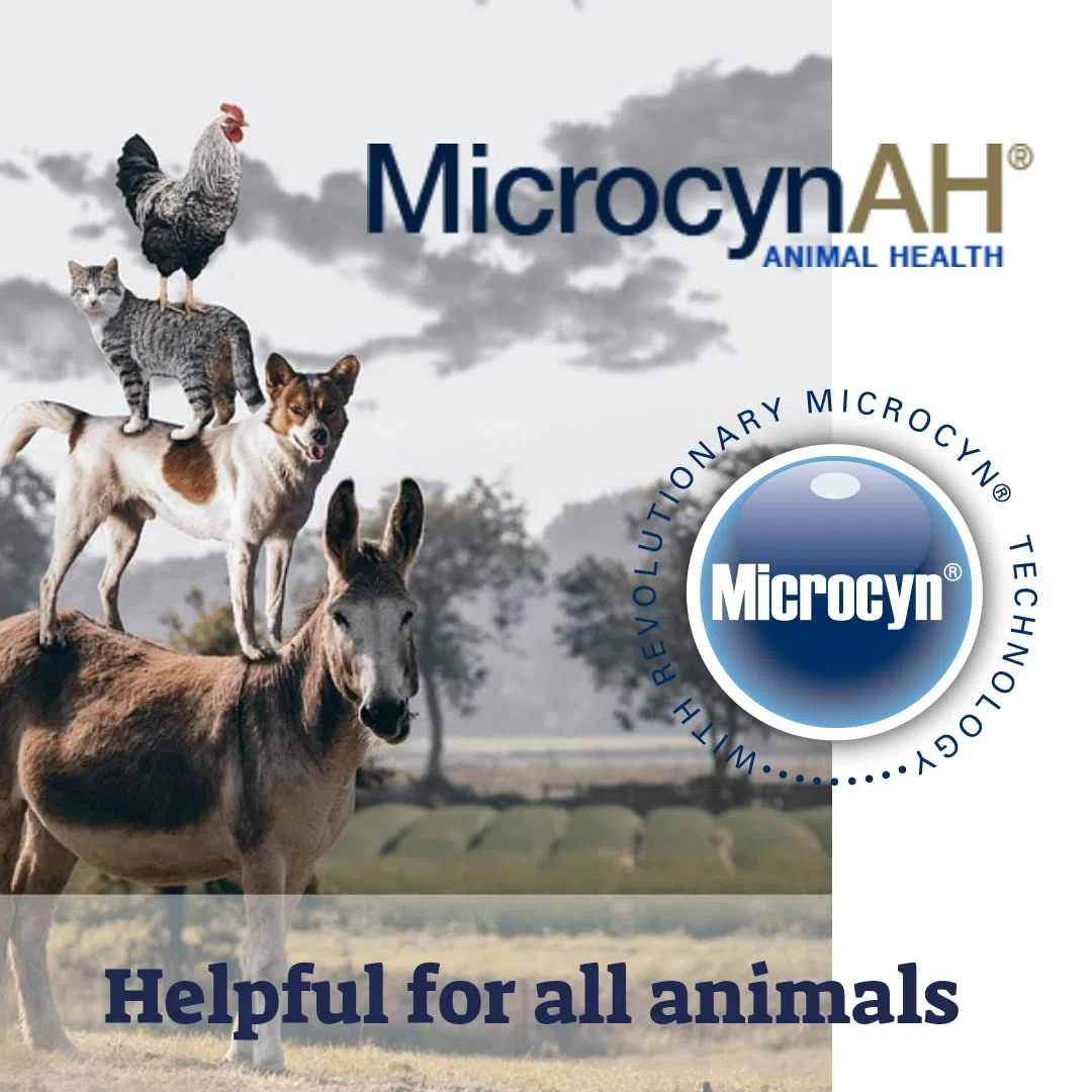 Microcyn AH Wound & Skin Care | Cuidado de heridas y piel para mascotas- 473ml