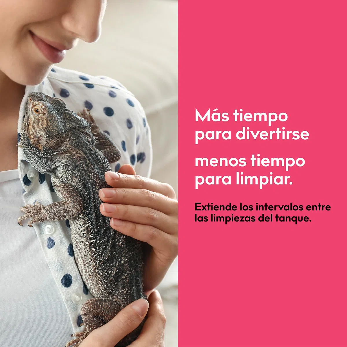 Spray Antiolores Terrario Reptiles, Sin Perfume, 266ml | Fórmula mineral, Seguro para reptiles y anfibios, Terrarios, Serpientes, tortugas, lagartos, geckos