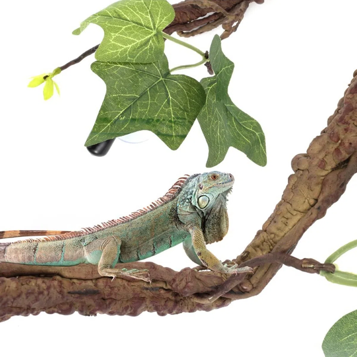 Decoración De Ramas De Reptil, Decoración De Plantas para Terrarios Rama De Esquina 2 Piezas De Enredaderas Rama De Esquina Guirnalda De Plantas con Ventosa para Anfibios, Lagartos, Serpientes
