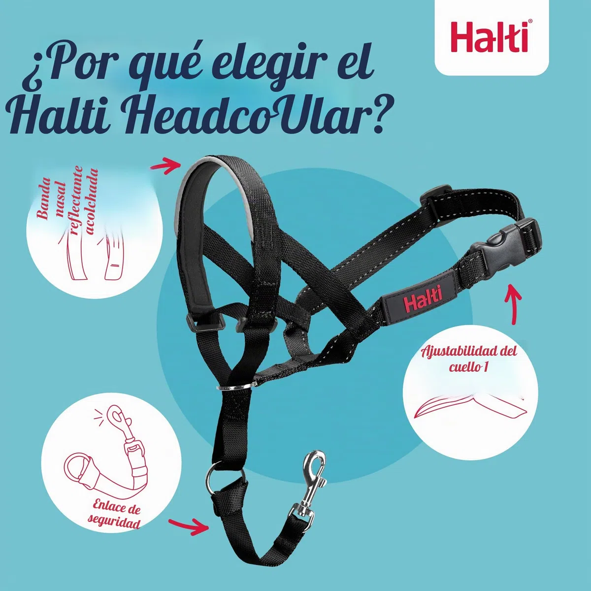 HALTI Headcollar Talla 3, Negro y Correa de Entrenamiento HALTI tamaño Grande, Paquete Combinado Negro - Evita Que tu Perro Tire de la Correa. Ajustable, Ligero con Banda para la Nariz Acolchada.