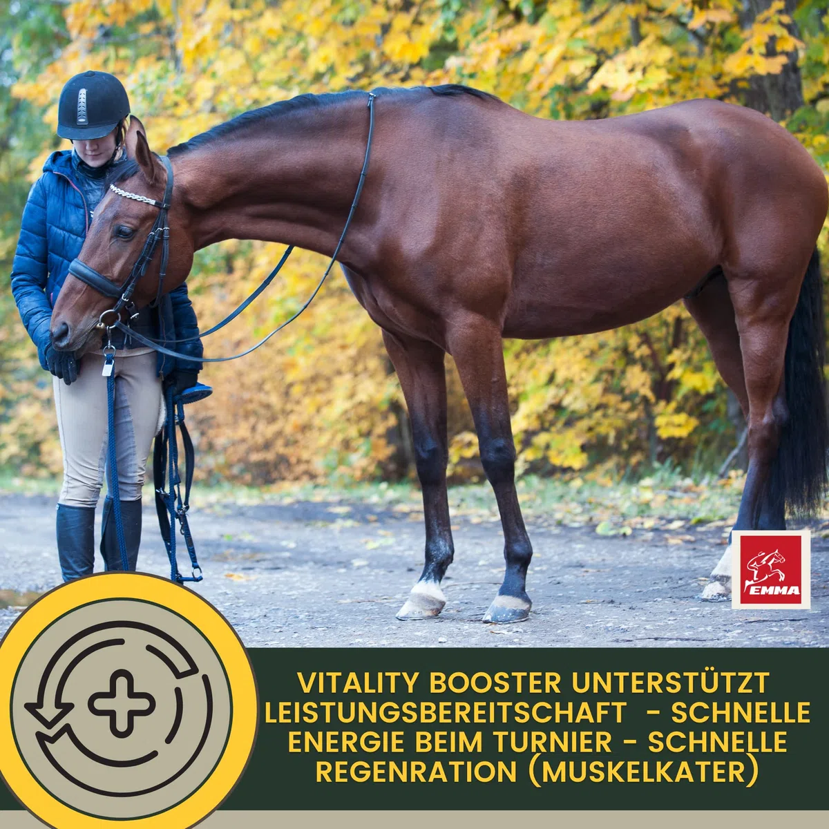Pasta vitamínica para Caballos Aminoácidos Caballo Amino Vitamina E Levadura de Cerveza I Energía Alimento reconstituyente para músculos doloridos Regeneración Rendimiento Muscular Musculación 30ml