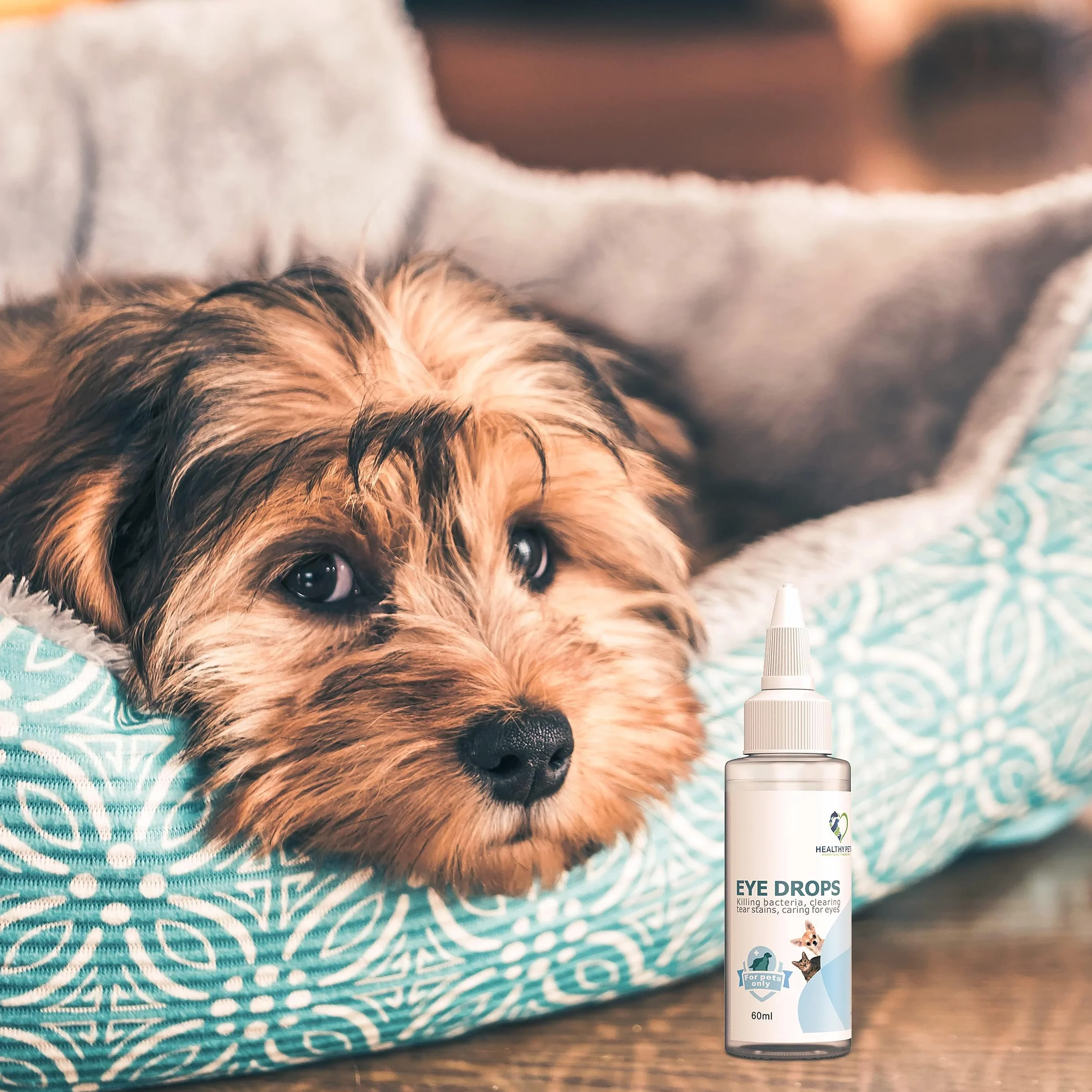 Healthy Pets Gotas para Ojos de Perros y Gatos 60ml - Lavado de Ojos Anti-inflamatorio para Perros y Gatos - Gotas para Infecciones Oculares - Loción Ocular Hidratante