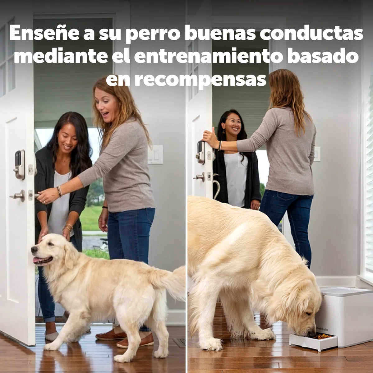 PetSafe Teach & Treat – Adiestrador con Mando de Recompensa, Dispositivo de Entrenamiento de Recompensas, Entrenamiento con Control Remoto, Refuerzo Positivo para Perros, Dispensador de Prem