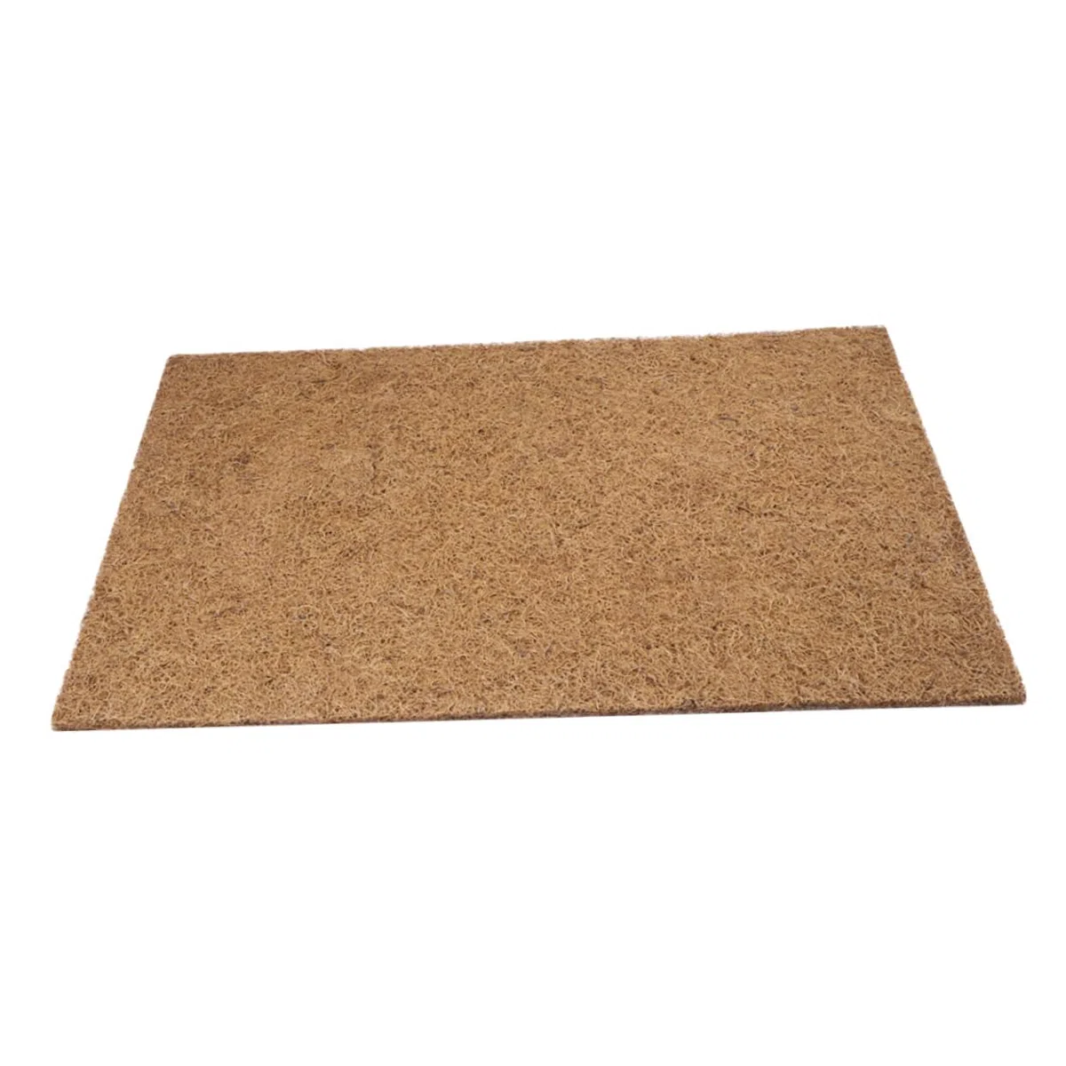 POPETPOP Alfombra en Contenedores Transparentes para Terrario de Reptiles de Fibra Natural Estera para Tortugas y Reptiles y Fácil Limpieza Recogida de Desechos