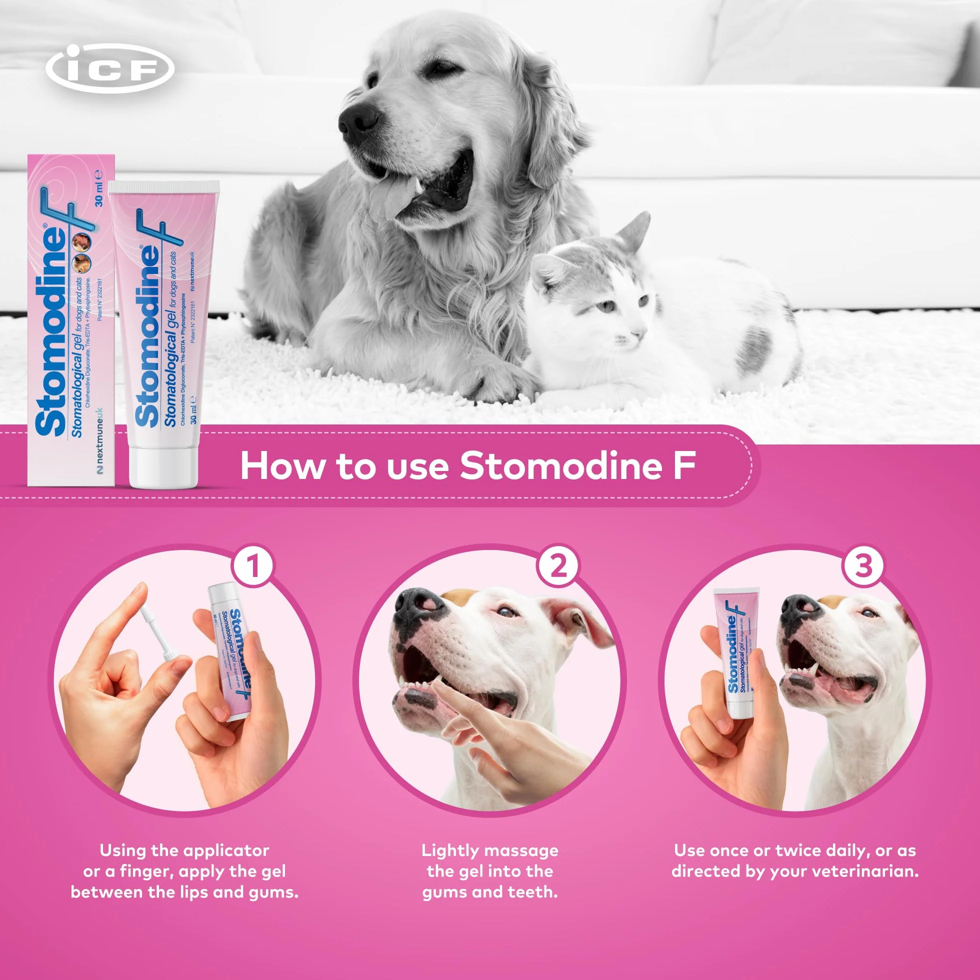 ICF Stomodine F | Pasta de dientes para gatos y perros | Sabor de carne | Combate la placa y el mal aliento | Higiene bucal dental saludable | Limpiador de dientes fácil de usar para mascotas