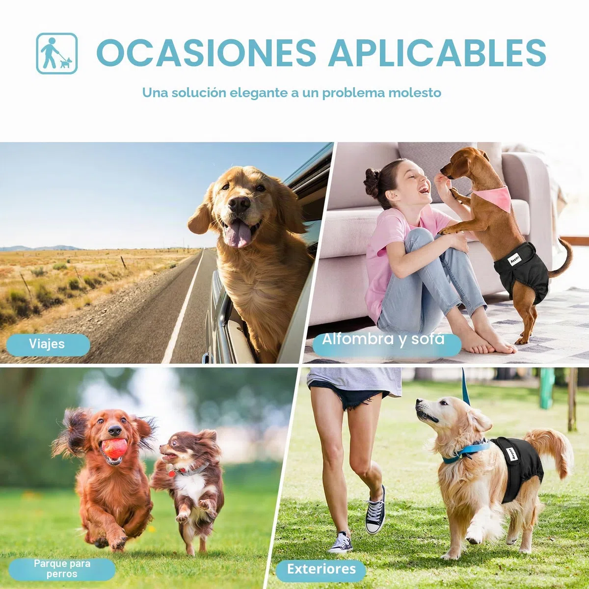 Avont 3 Packs Pañales Lavables para Perra— Pañales Reutilizables Altamente Absorbentes para Mascotas, Bragas Higiénica para Perras en Celo, Incontinencia Canina y Viajes De Larga Distancia -L,Negro