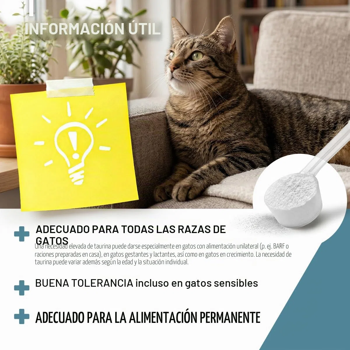 ReaVET Taurina para gatos 100 g – Apoyo cardiovascular, polvo de taurina 100% puro, aminoácidos que apoyan las defensas y el metabolismo celular