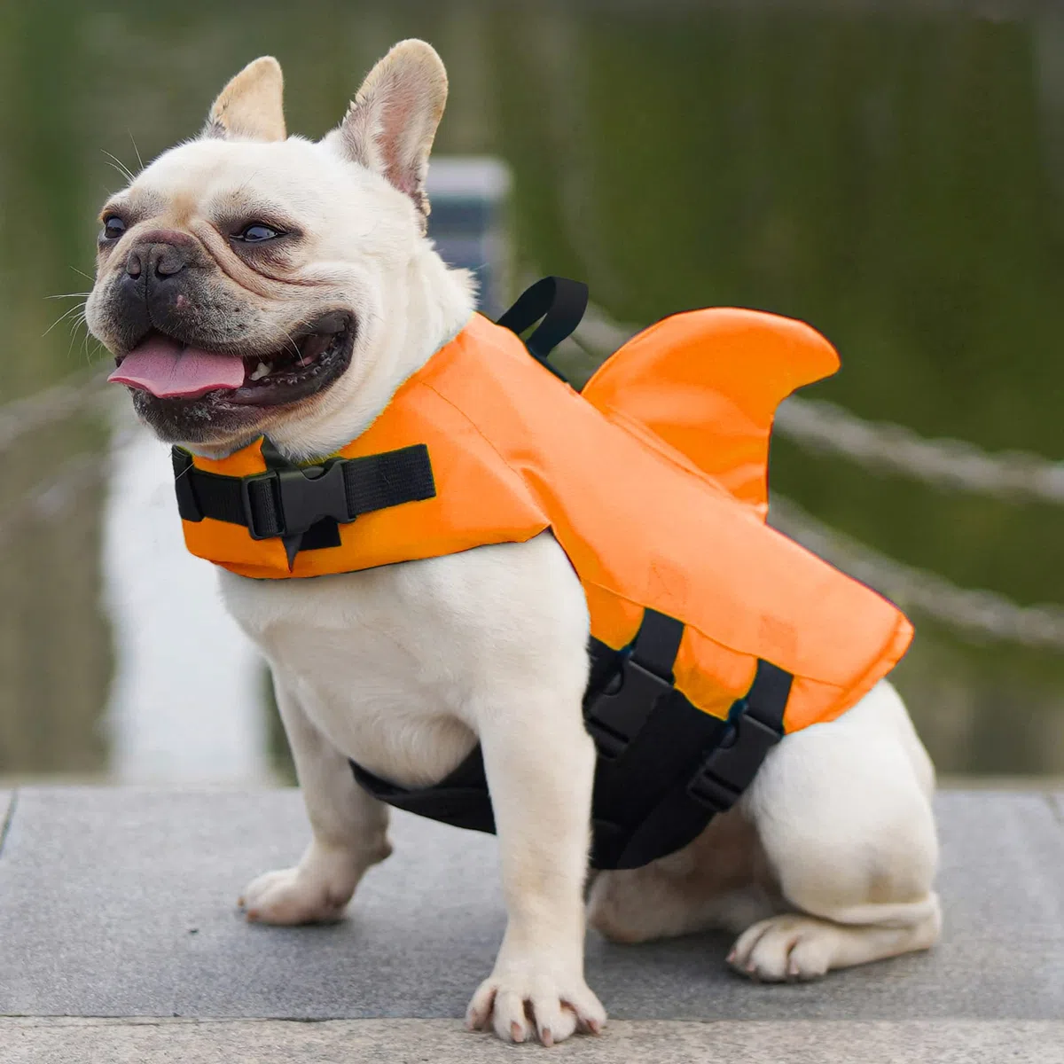Chaleco Salvavidas para Perros Mascota Cachorro Flotador Piscina Perros Ropa Chaleco de Seguridad Perrito Natación (Naranja, Medium)