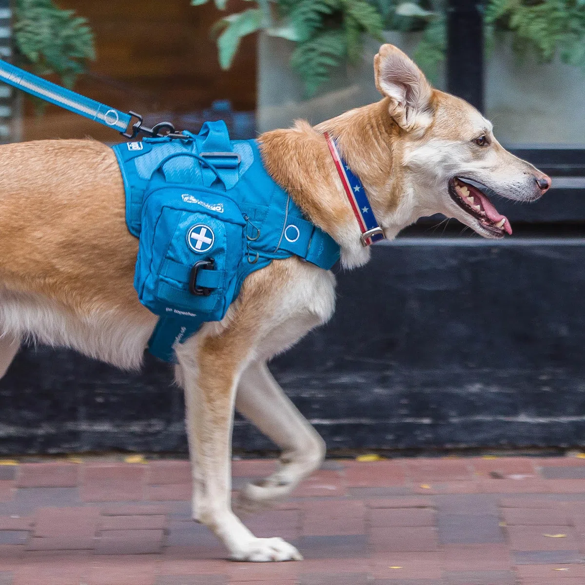 Kurgo RSG - Kit de Primeros Auxilios para Perros - Formato Compacto para Exteriores y Trekking, Funda Compatible con MOLLE y Apertura Fácil