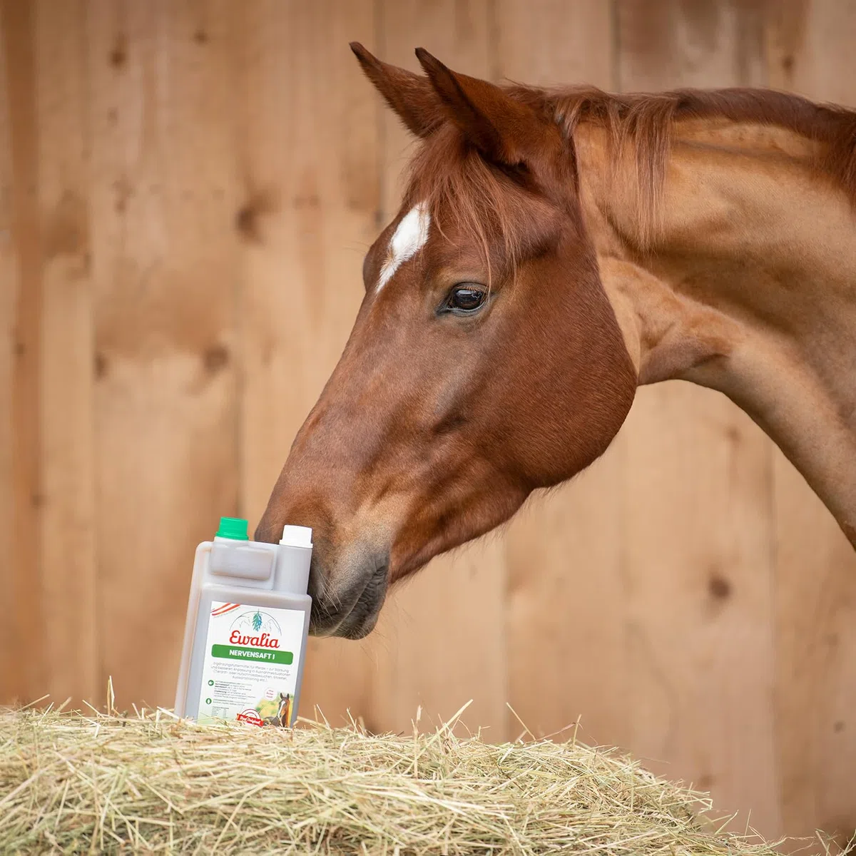 EWALIA Jugo nervioso I – Apoyo calmante para caballos en situaciones estresantes – Ayuda natural en visitas al veterinario, entrenamiento y más, desarrollado con veterinarios, 100% natural puro, 2 x 1