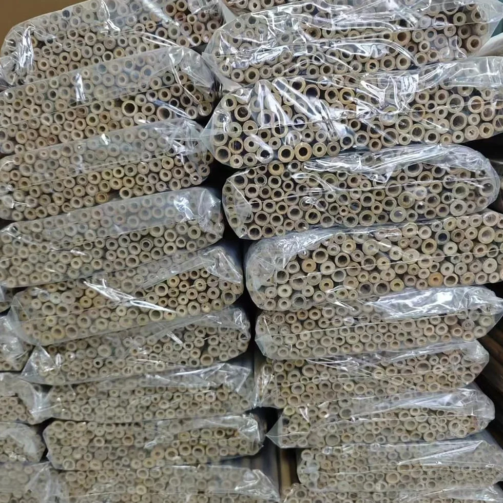 Material de relleno de tubos de hotel para insectos, 100 unidades, tubo de bambú natural de 15 cm de longitud, accesorios de casa de abeja, respetuoso con el medio ambiente en el jardín