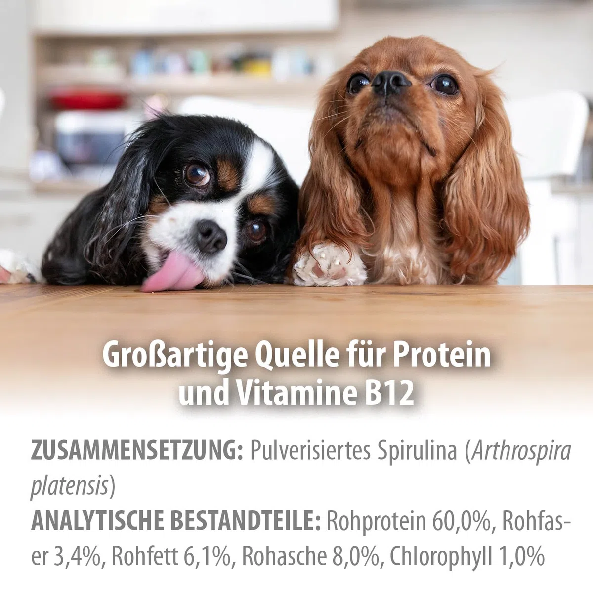 BARFeed Espirulina | Fuente de proteína y vitamina B12 | Barf para gatos y perros | Alimentación cruda | 200 g