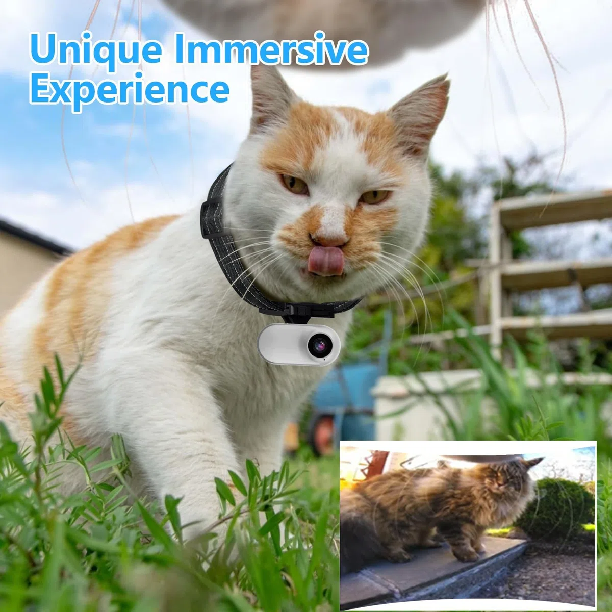 Collar de cámara HD 1080P para gatos con grabación de video, mini cámara deportiva inalámbrica, cámaras de acción pequeñas, cámara corporal para suministros de mascotas, regalo de cumpleaños