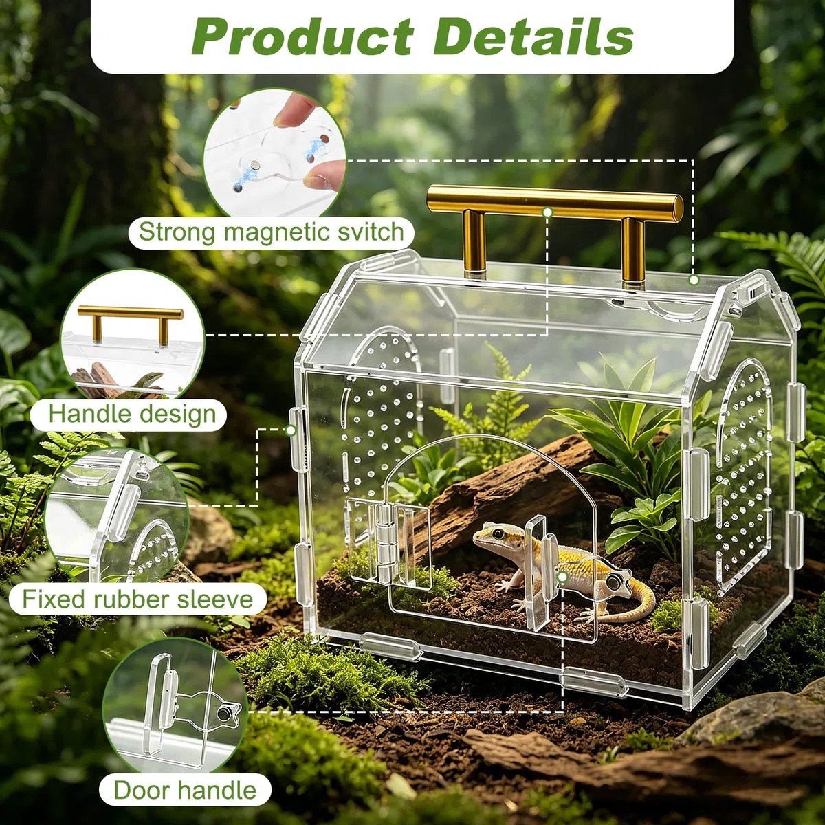 Terrario Acrílico Portátil con Cierre Magnético y Asa - Terrario Reptiles Transparente con Ventilación Superior y Funda de Goma Desmontable, Ideal para Araña Saltarina