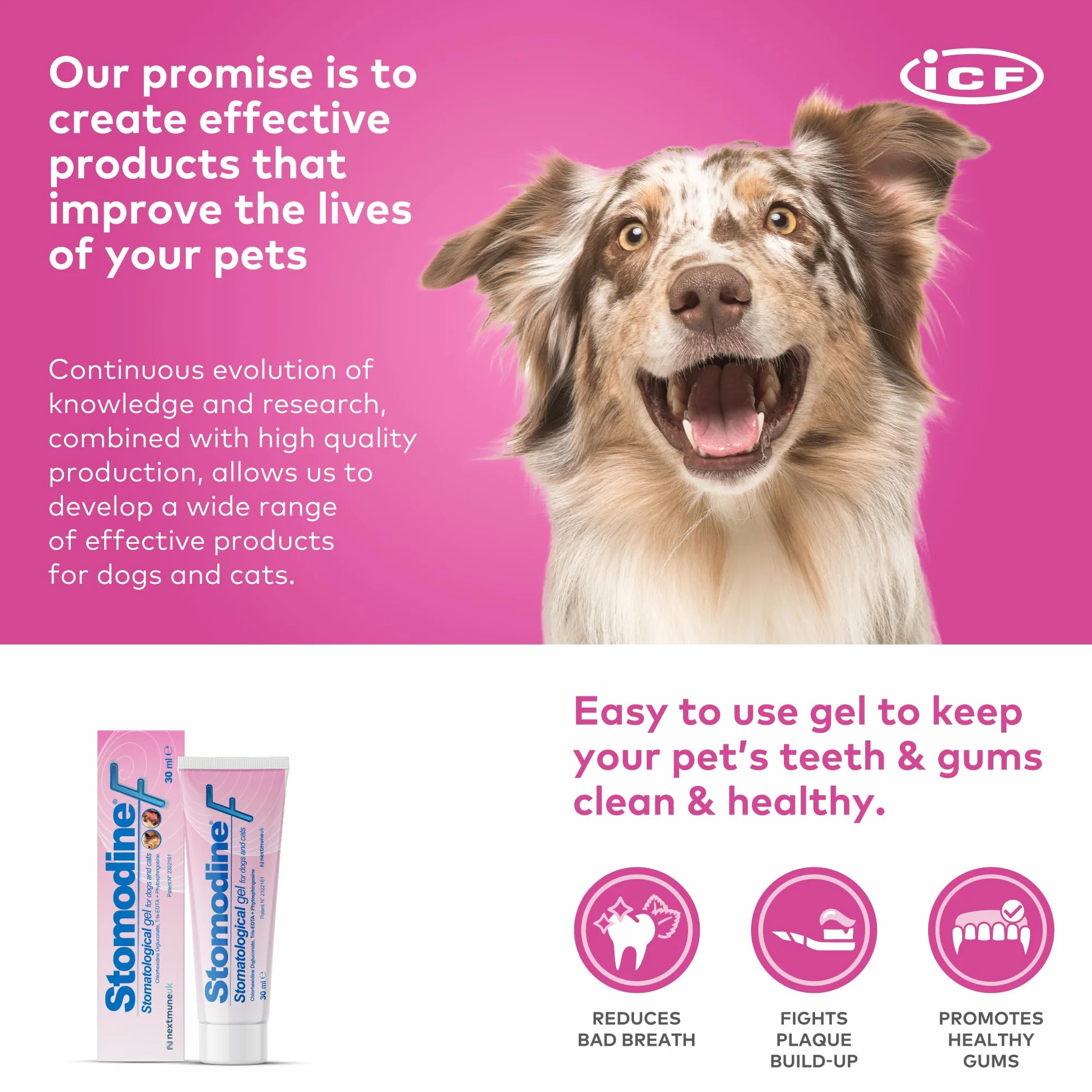 ICF Stomodine F | Pasta de dientes para gatos y perros | Sabor de carne | Combate la placa y el mal aliento | Higiene bucal dental saludable | Limpiador de dientes fácil de usar para mascotas