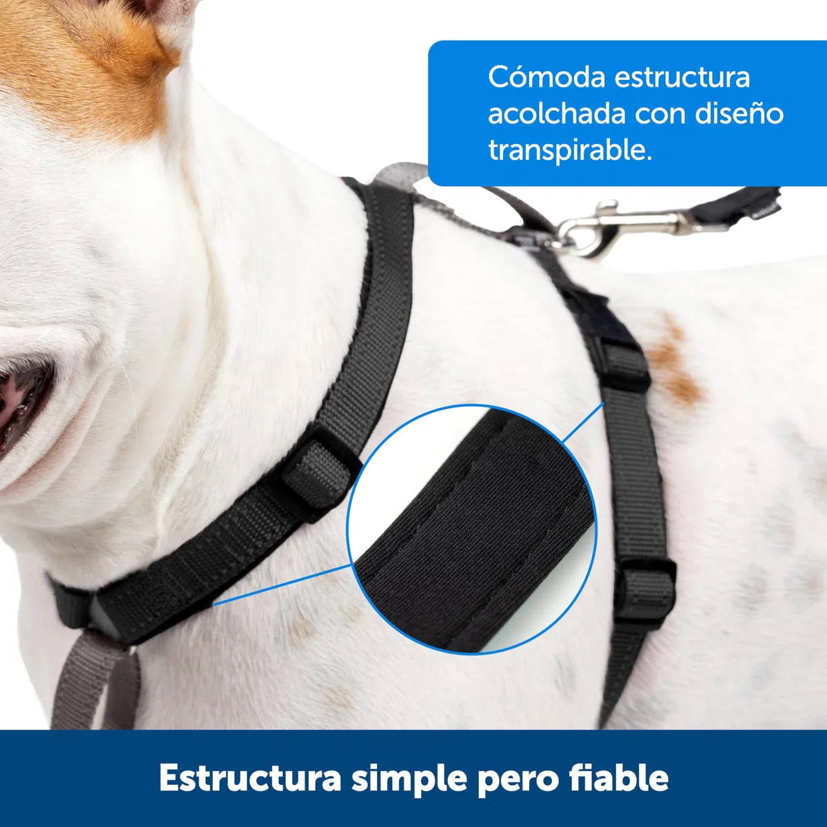 PetSafe 3-in-1 - Arnés Pectoral para Perros con Enganche Frontal - para Paseos Controlados - Negro - S