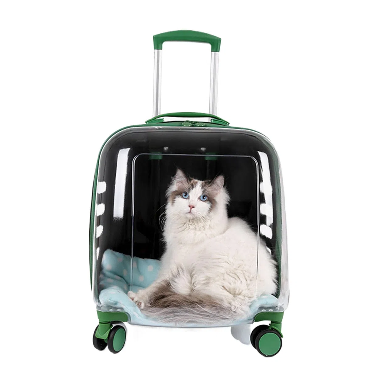 Maleta Portátil con Ruedas Cápsula Espacial Transpirable Maleta para Gatos Gran Capacidad, Mochila para Gatos Transparente (Color : Green Translucent)