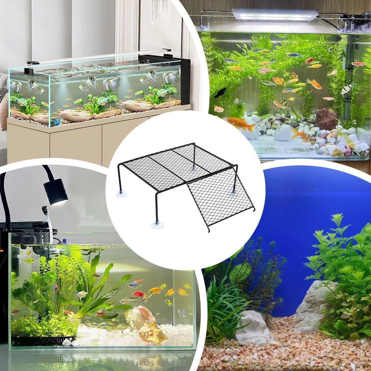 Plataforma De Descanso Para Tortugas Terrestres Y Acuáticas, Base Flotante Con Rampa De Escalada, Soporte Antideslizante Resistente, Terrario Acuario Reptiles Tortugas De Agua Y Terrestres Hogar Masco