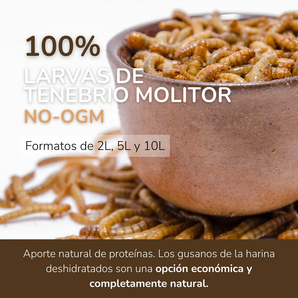 Gusanos de la Harina 1 KG - Tenebrios Deshidratados Premium 6,5L - Comida para Aves, Tortugas, Peces, Hamster, Pájaros, Roedores | +50% Proteína