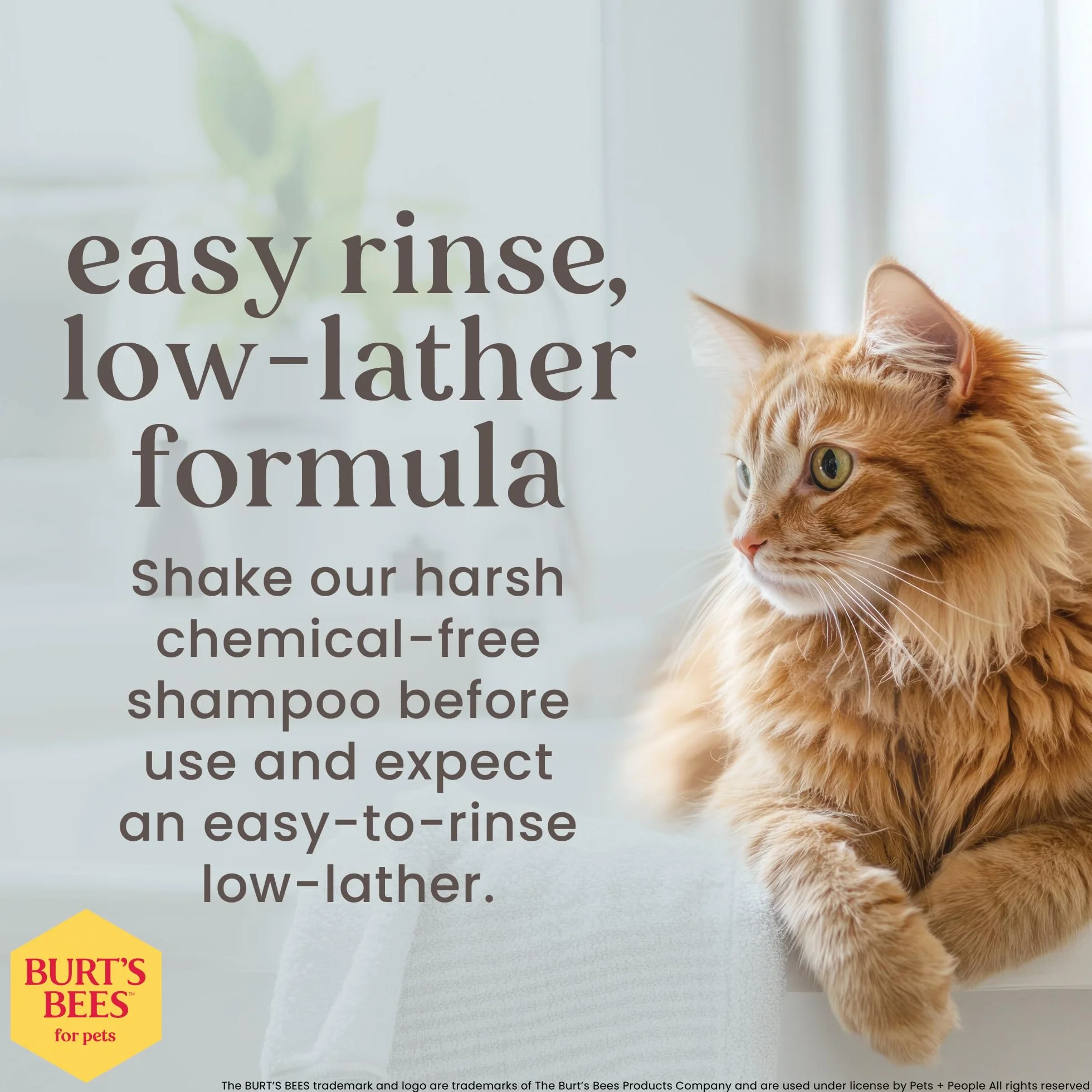 Burt 's Bees - Champú para gato, natural, hipoalergénico