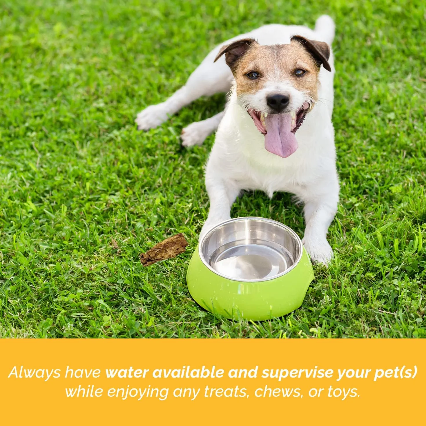 123 Treats Orejas de Conejo con Pelo Natural Masticables para Perros (1 Kg)
