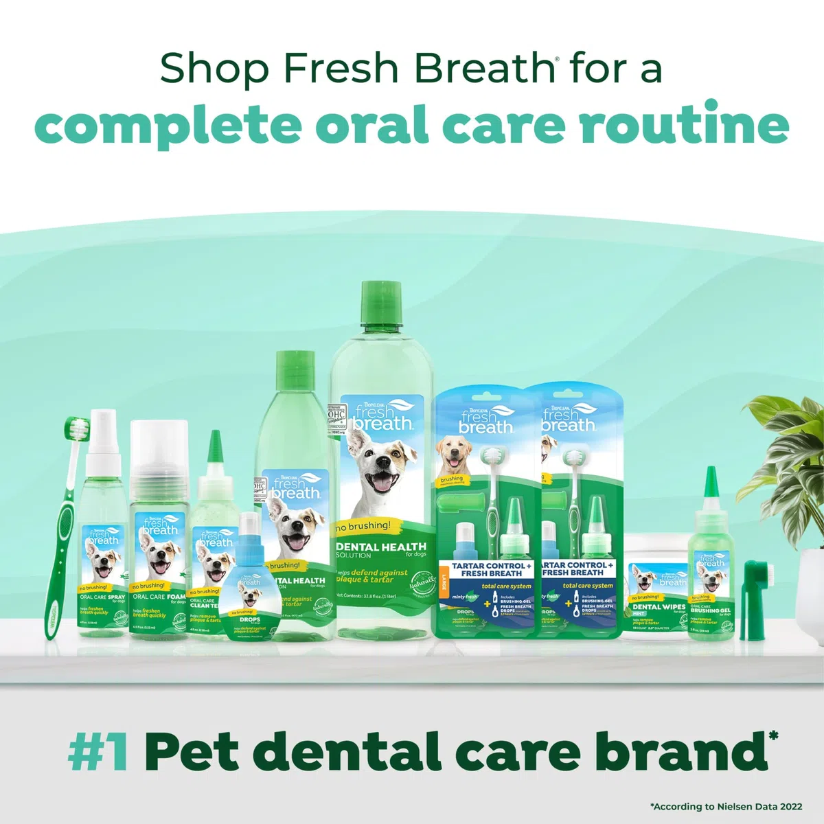 Tropiclean Fresh Breath by Gel de Cuidado Bucal para Gatos - Sin Cepillado - Ayuda a Eliminar la Placa y el Sarro - Original - 59 ml