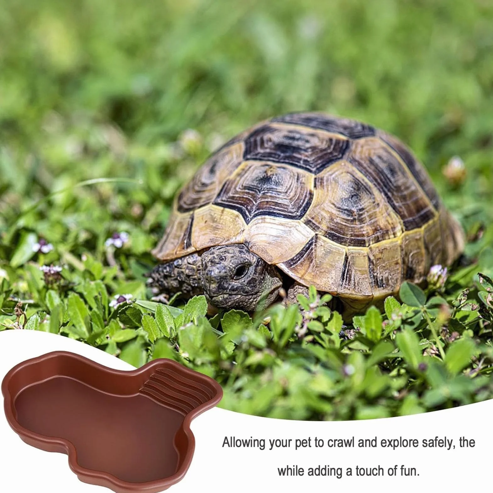 Piscina de Baño para Reptiles,Hábitat de Tortuga con Rampa no Deslizante,Cuenco Grande de Agua para Reptiles,Piscina de Reptiles,Hábitats Anfibios,para Serpientes, Dragones Barbudos, Tortugas