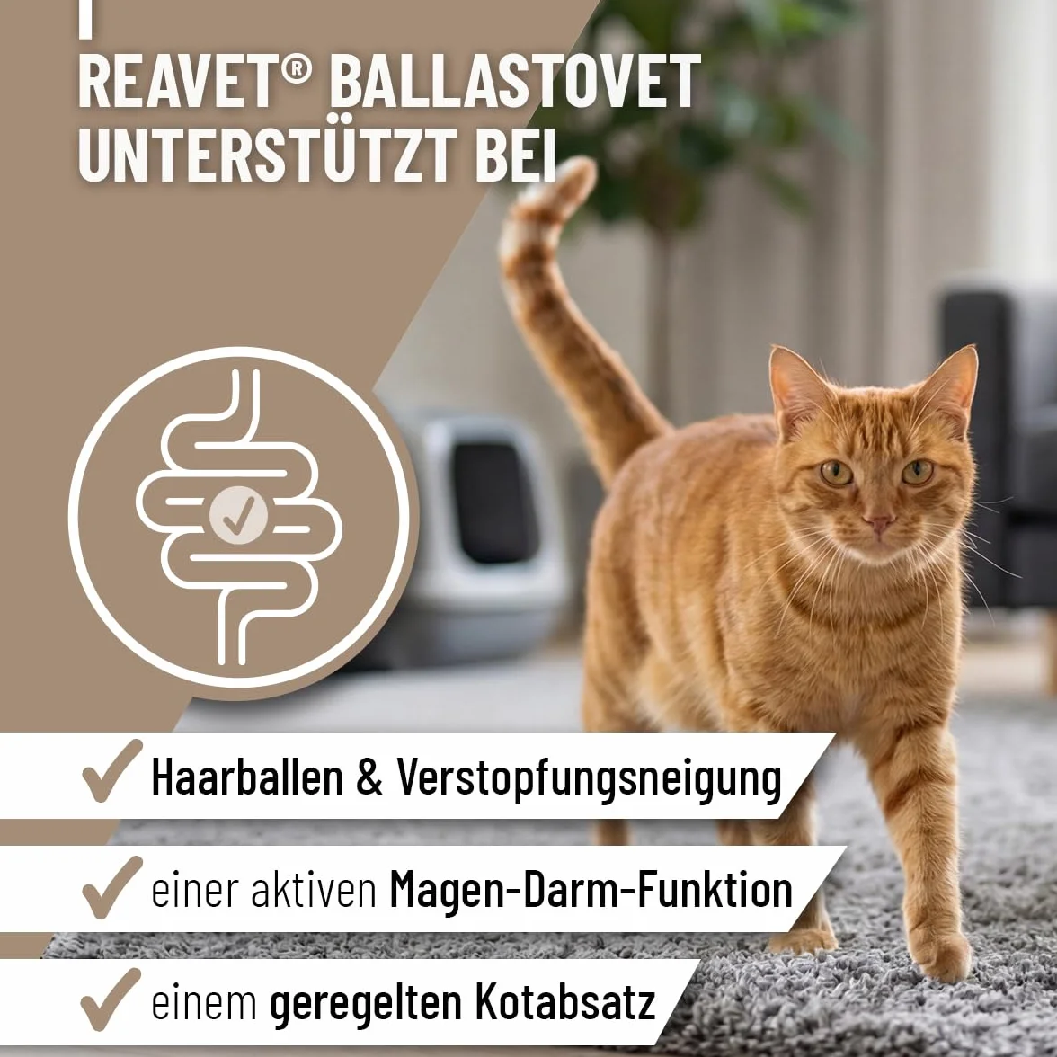 ReaVET BallastoVET para gatos 50 g – Soporte rápido para estreñimientos, para estreñimientos agudos y crónicos y heces sólidas, ayuda digestiva, ayuda rápida en caso de inercia intestinal