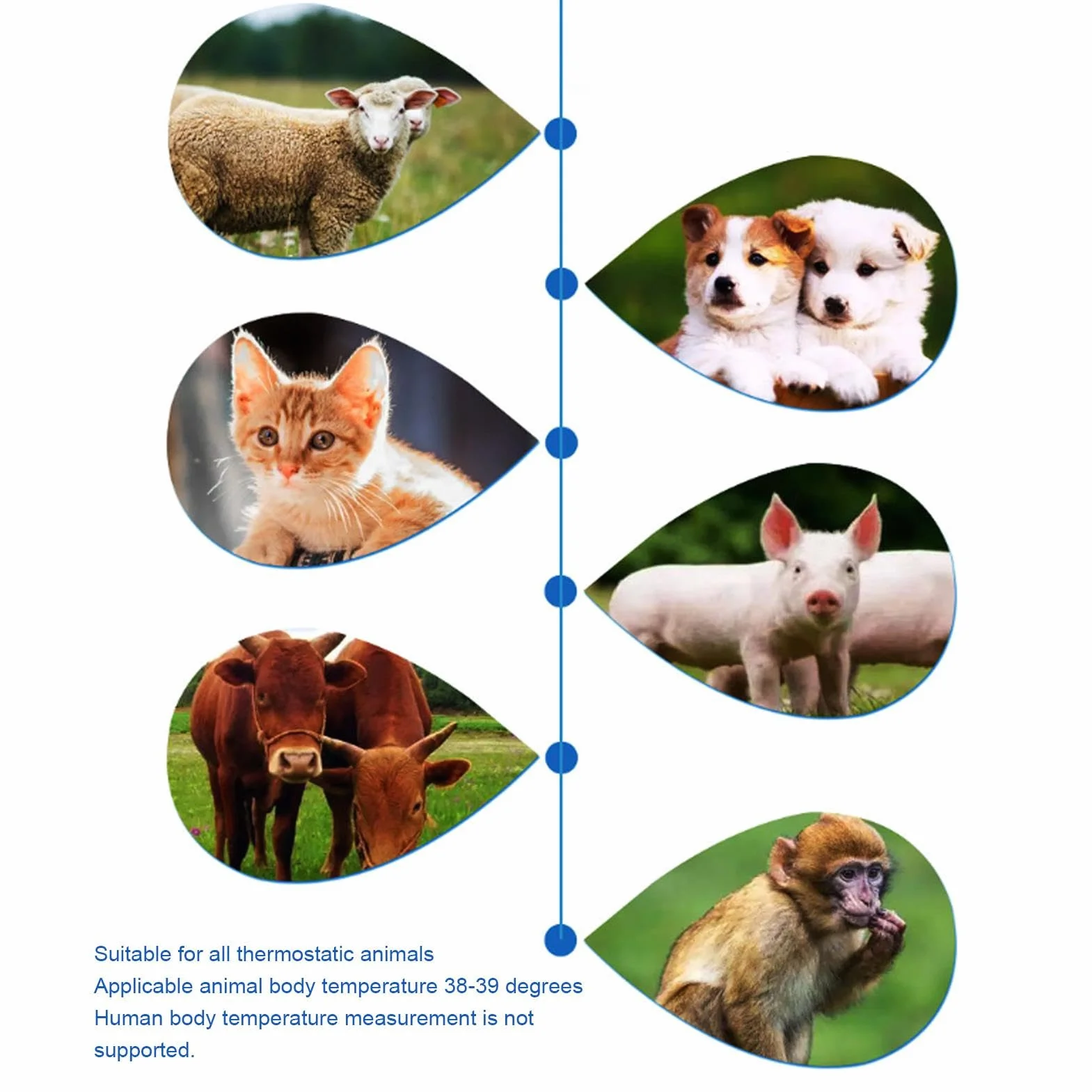 Termómetro impermeable para mascotas: dispositivo de detección de fiebre preciso para perros, gatos y animales de granja | Termómetro veterinario de alta precisión con diseño de doble modo para cerdos
