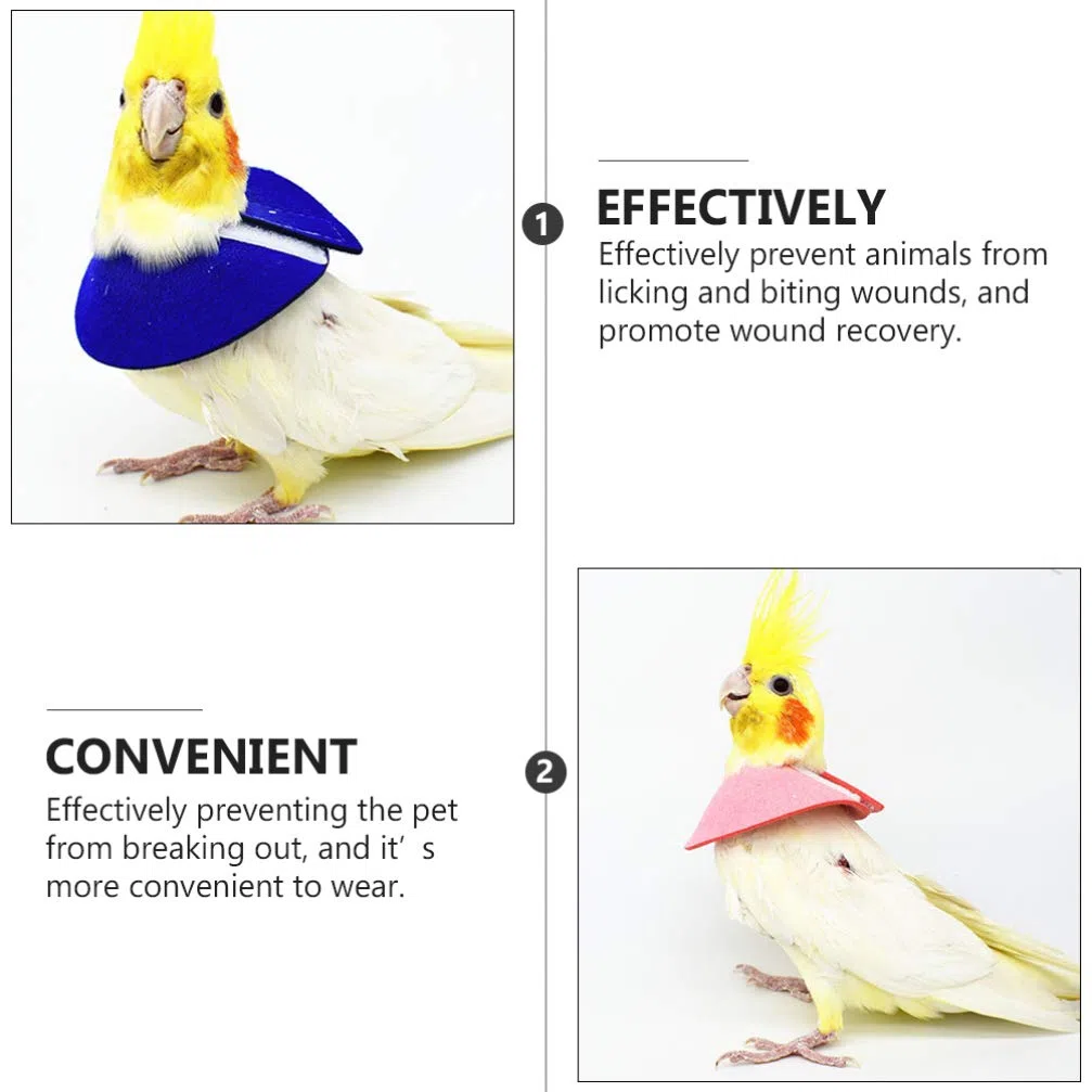 ULTECHNOVO Collar De Recuperación para Pájaros Pequeños Ajustable Anti Mordeduras Y Anti Lamidos para Loros Protector De Cuello para Cuidado Y Recuperación De Lesiones 4 Piezas