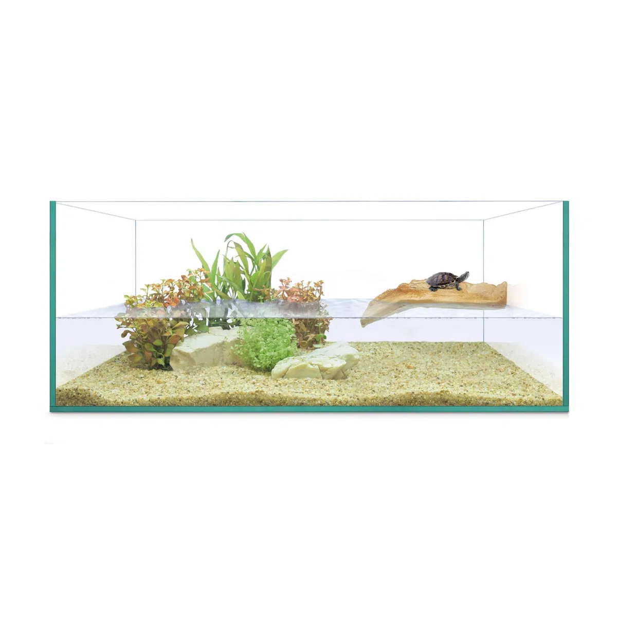 ICA Tortuguera Isla 50 REPTI Selva para Tortugas Acuáticas, 50x28x20 cm, Isla Solarium, Tapa de Cristal y Alfombrilla Protectora
