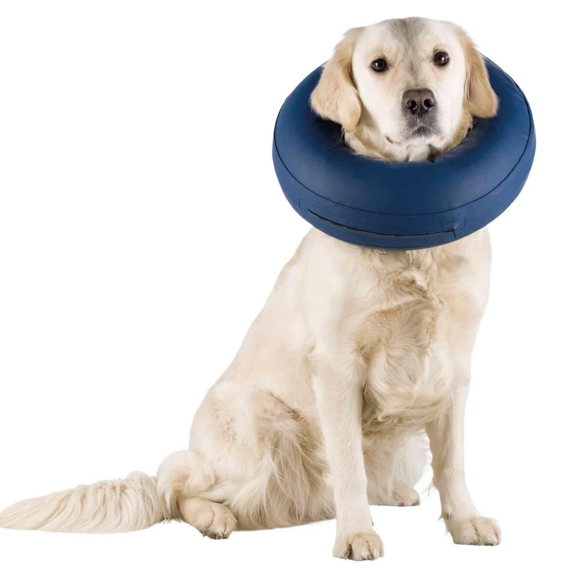 TRIXIE Collar Protector, inflable para Perros