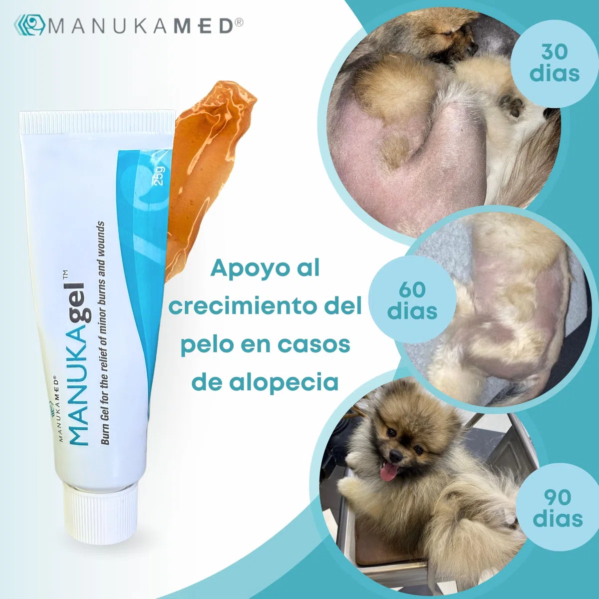 ManukaMed MANUKAgel Gel antibacteriano, pomada para heridas para perros, gatos, caballos, miel de Manuka 100% bioactiva MGO 560+/25 g