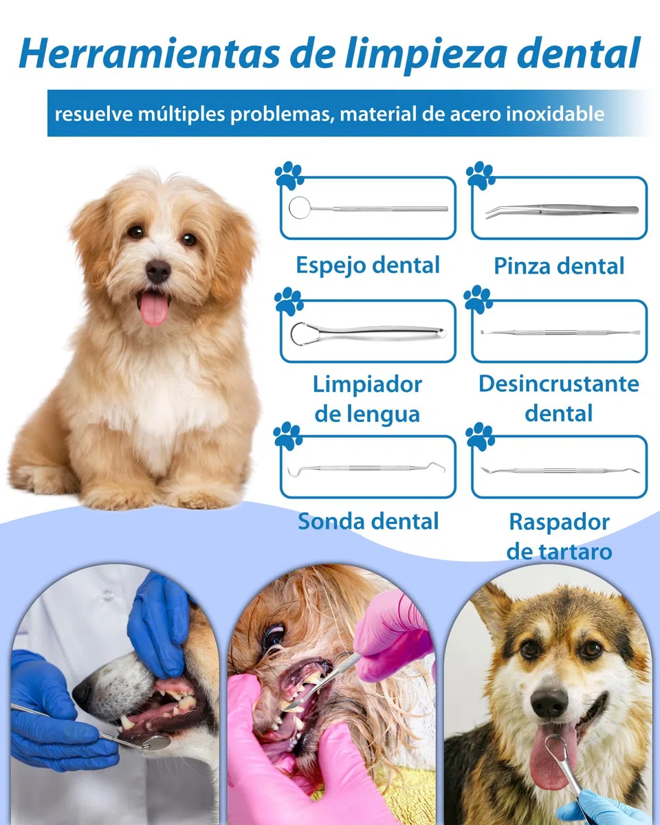 Kit de Limpieza de Sarro Dental Ultrasónico para Perros y Gatos, Detartrador Cepillos Ultrasónicos de Dientes Quita Manchas Limpiador, 5 Modos de Limpieza y 4 Cabezales de Limpieza para Mascotas