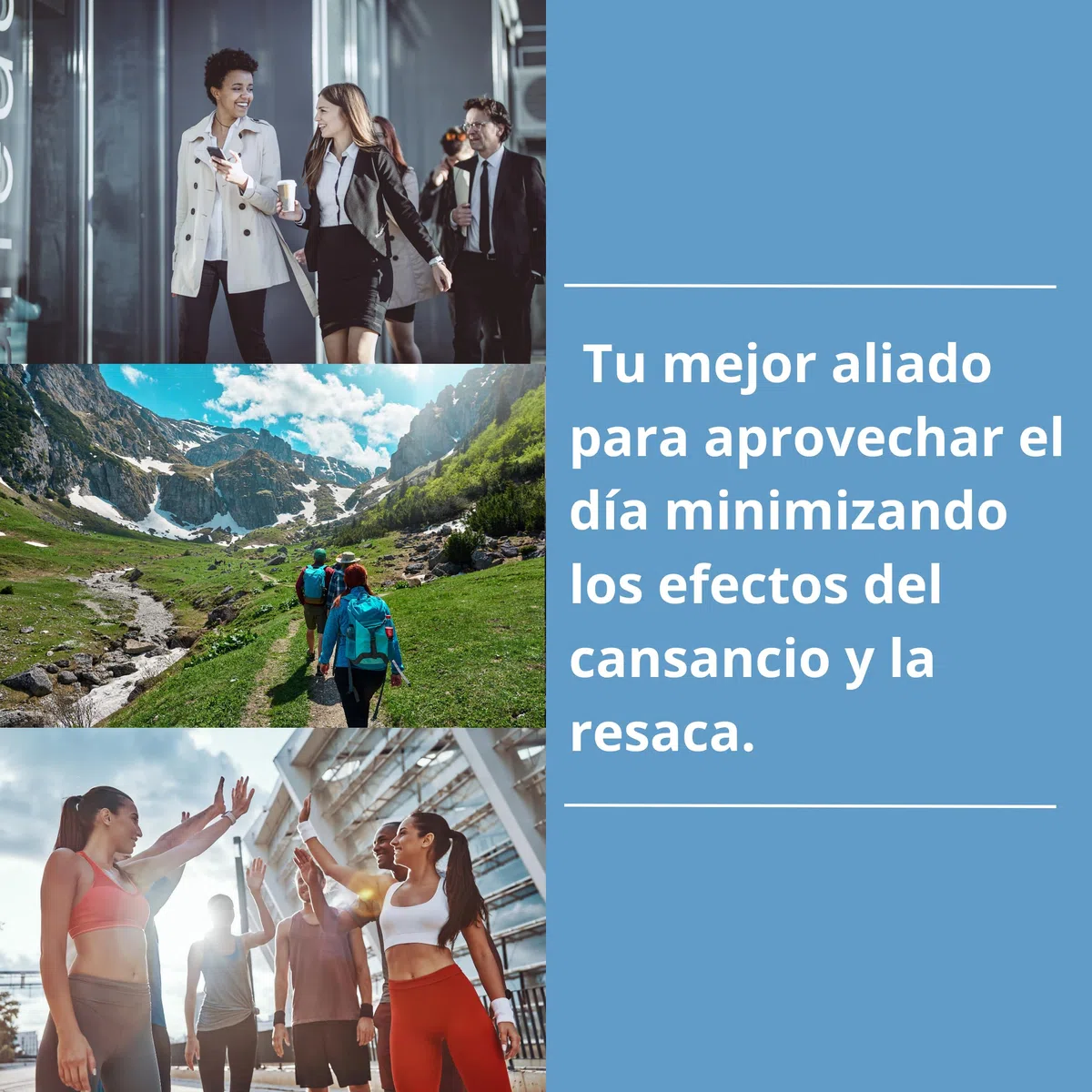 Anti Resaca Protector Hepatico Natural con Cardo Mariano, Silimarina, Granada y Vitaminas A, C y E - Protege Durante la Ingesta y Elimina los Efectos Posteriores - 60 Pastillas Resaca