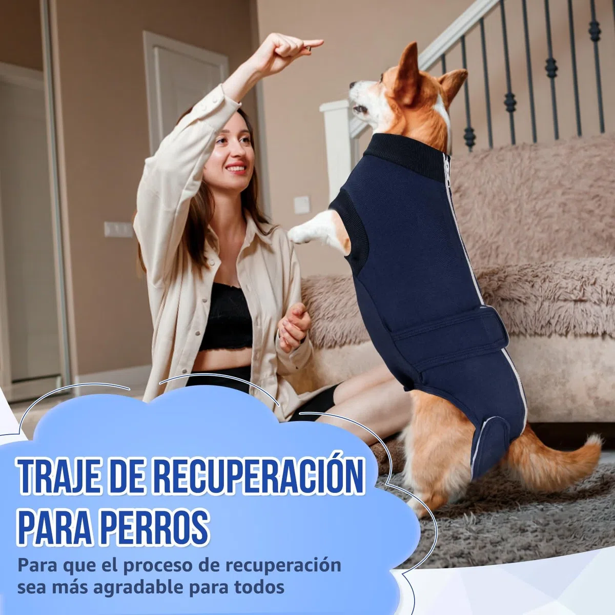 SlowTon Traje de recuperación de cirugía para Perros - Alternativa de Collar en Forma de Cono para Perros después de la cirugía con Cremallera, Camisa de recuperación Profesional para Mascotas