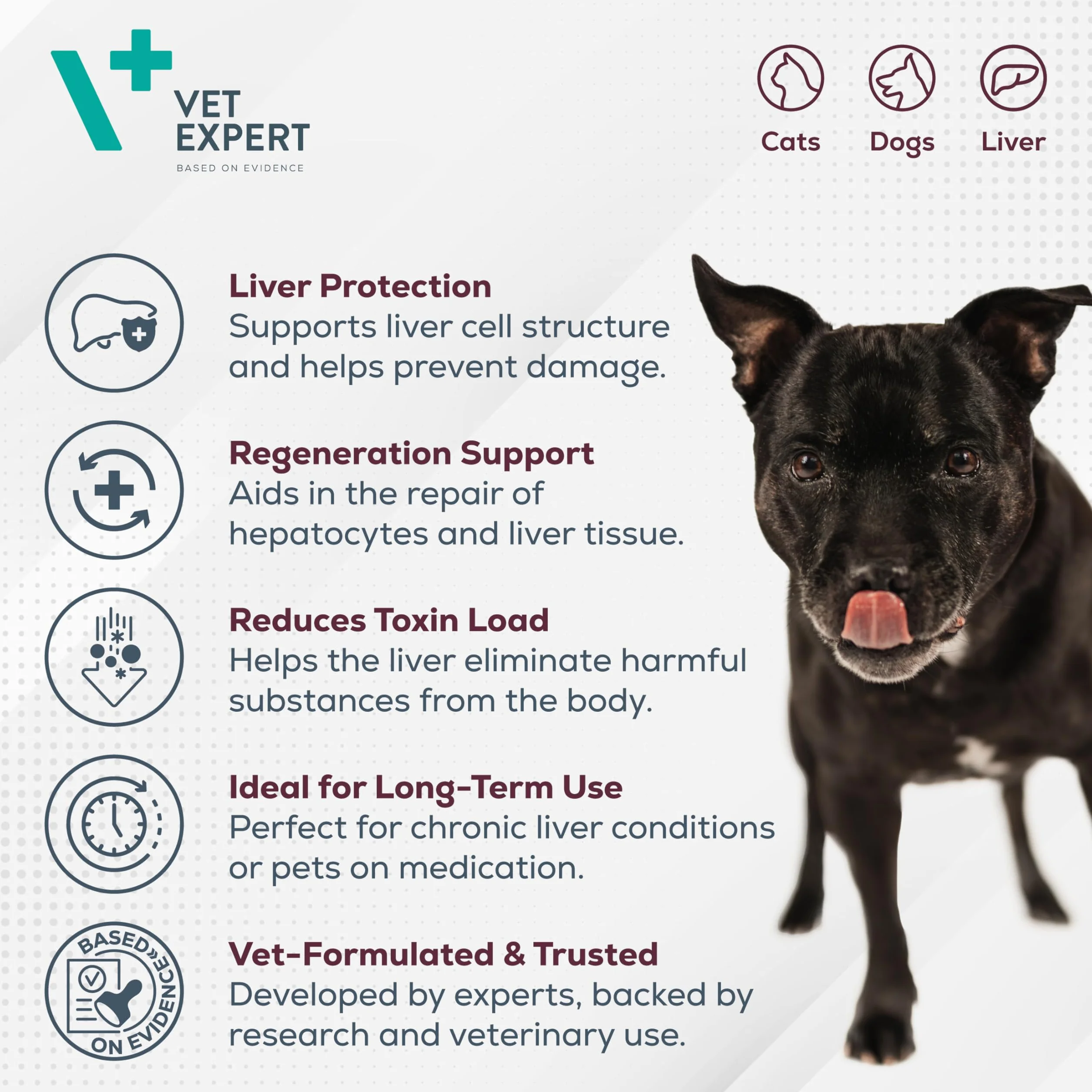 VetExpert Hepatiale Forte Razas Pequeñas y Gatos | 40 Cápsulas | Suplemento Alimenticio para Perros Pequeños y Gatos | para Apoyar la Función Hepática Natural