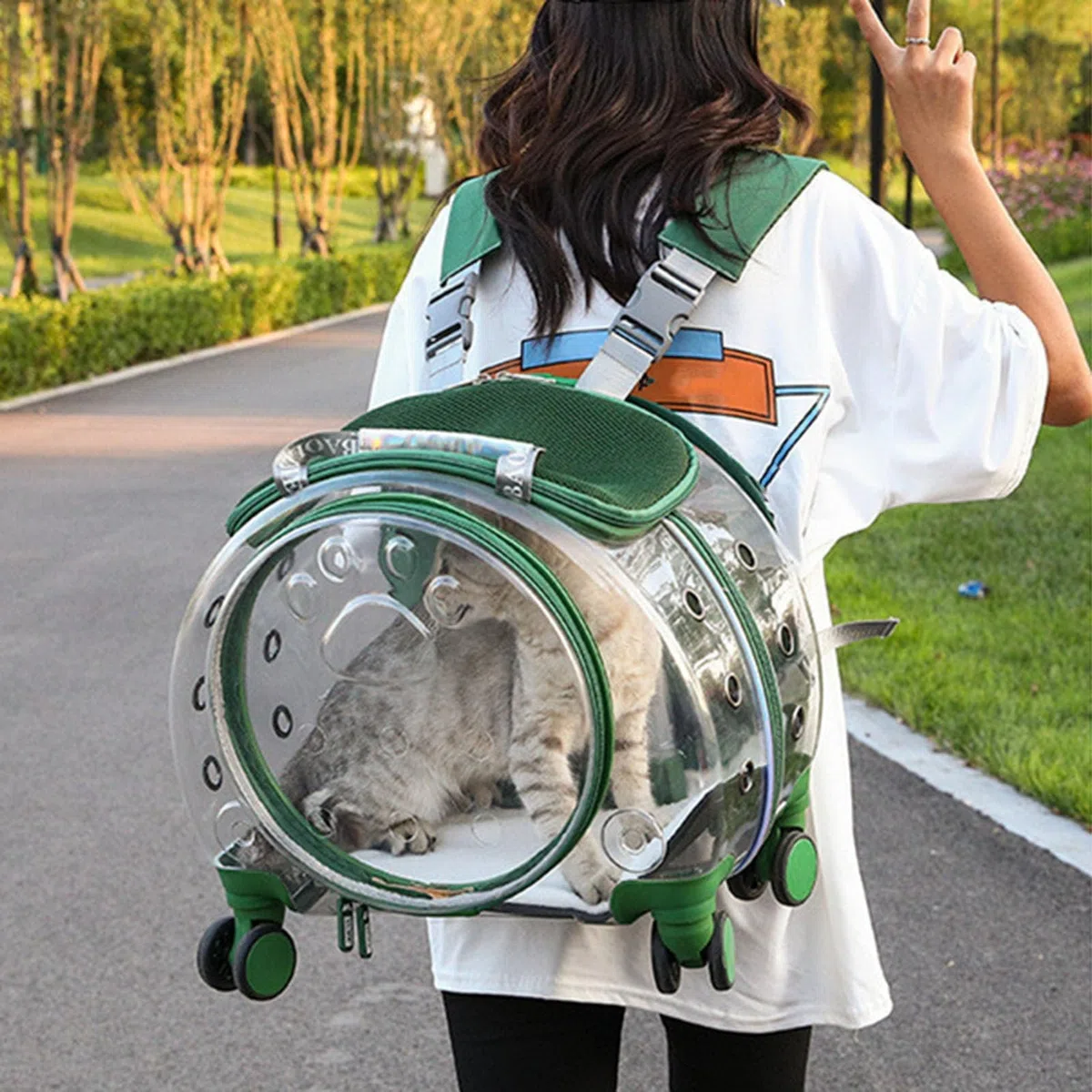 Transportador para gatos con ruedas, transportador transparente de burbujas para gatos, mochila para mascotas para gatitos, perros pequeños, agujeros de ventilación transparentes, ruedas