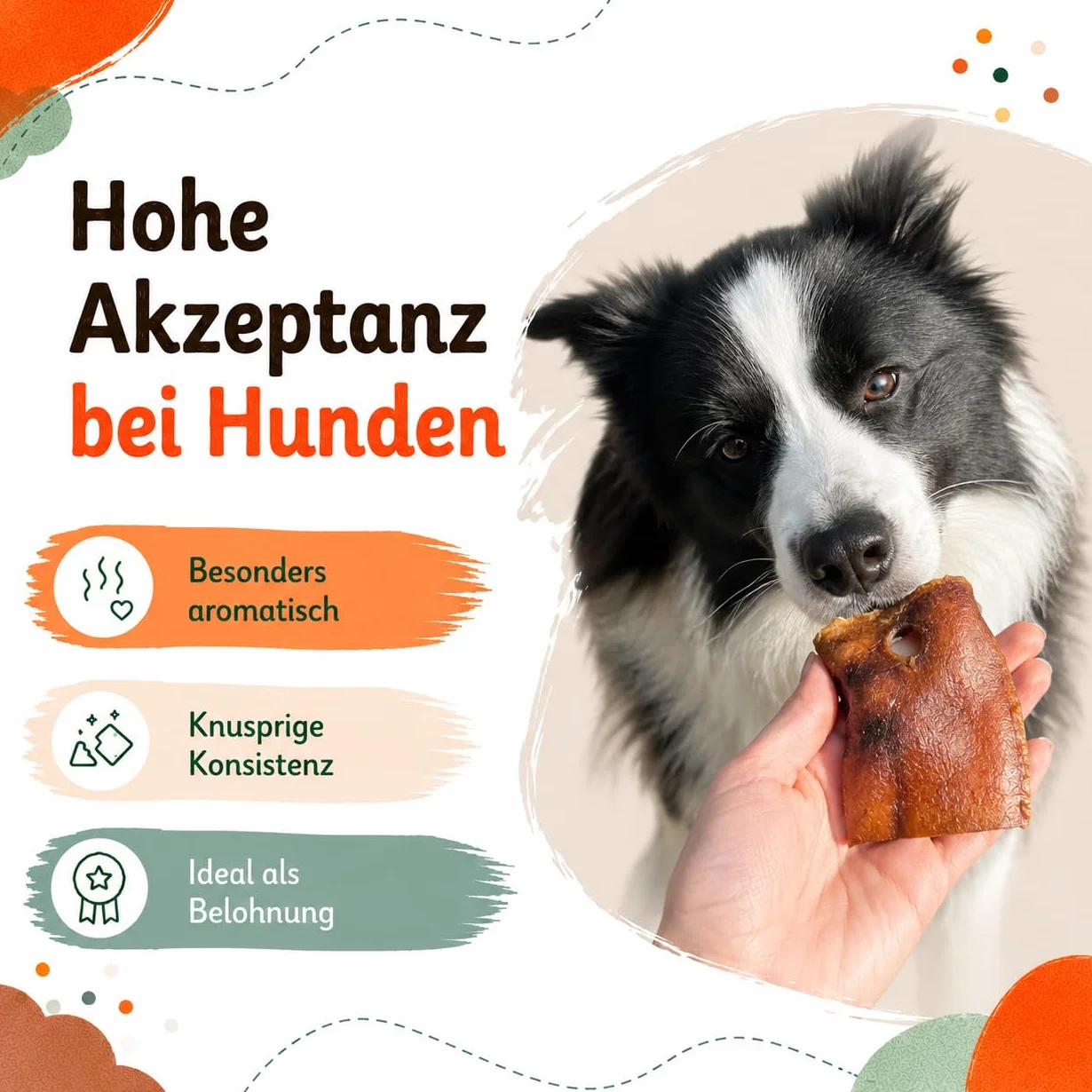 Hocicos de cerdo secos para perros, masticables naturales y aperitivos masticables de cerdo, rico en proteínas, fácil de digerir, sin cereales ni aditivos artificiales, secado al aire, Lucze (1 kg)