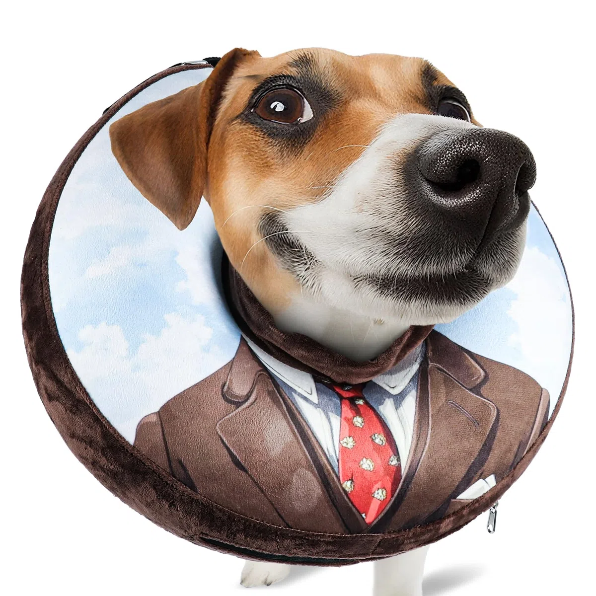 Collar isabelino Inflable para Perros y Gatos – Collar de Recuperación Suave para Evitar Lamer Heridas, Rascar o Morder – Ideal Postcirugía (Marrón, M)