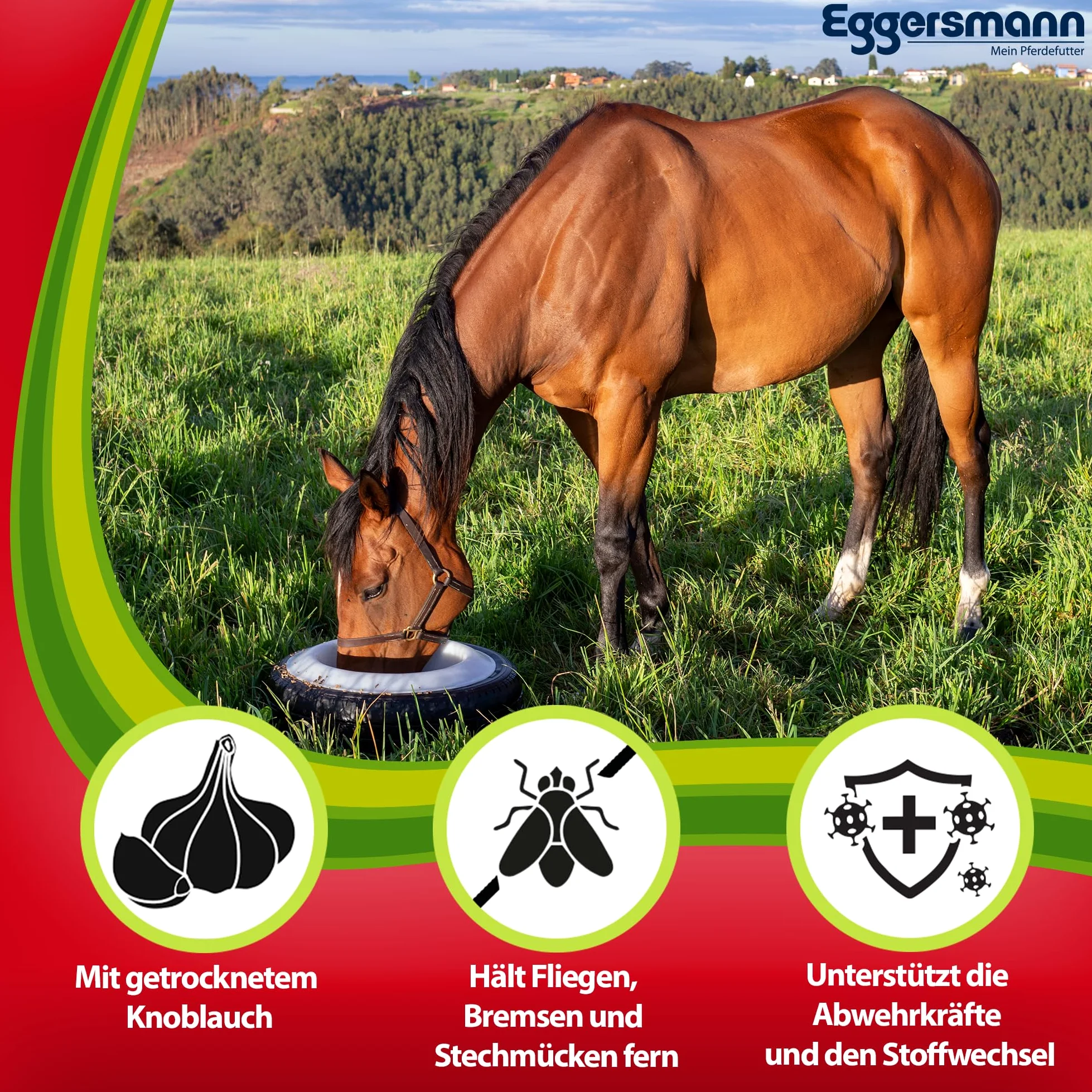 Eggersmann Mein Pferdefutter Ajo Plus 1 kg – Complemento alimenticio para Caballos – contra Moscas, tábanos y Mosquitos, Ayuda al metabolismo y a la Defensa inmune