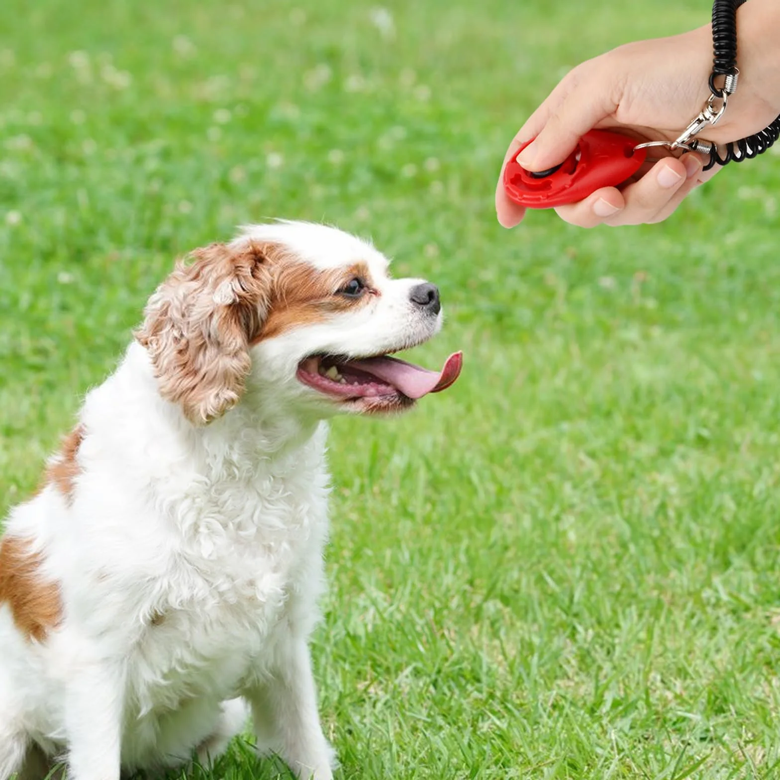 Dog Training Clicker, Clicker Perro, 9 Piezas Entrenador de Perros Entrenamiento para Mascotas, Clicker PerroAdiestramiento con Correa de Mano, Pet Training Clickers para Perros Gato Caballo Pajaros