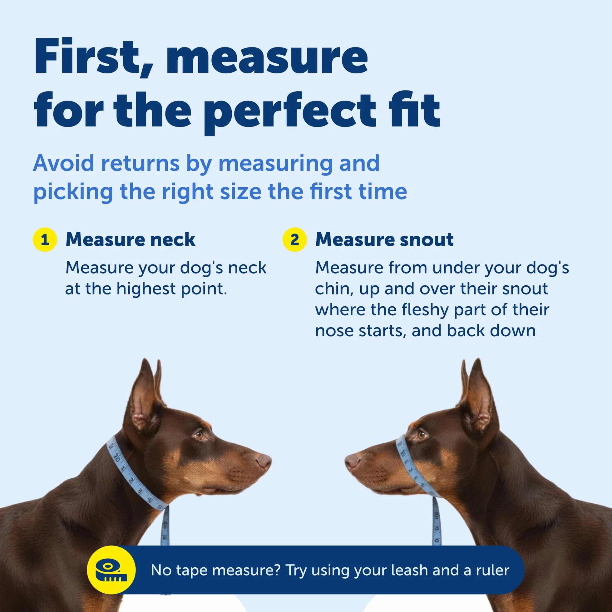 PetSafe Collar de Cabeza DVD de Entrenamiento (Idioma español no garantizado)