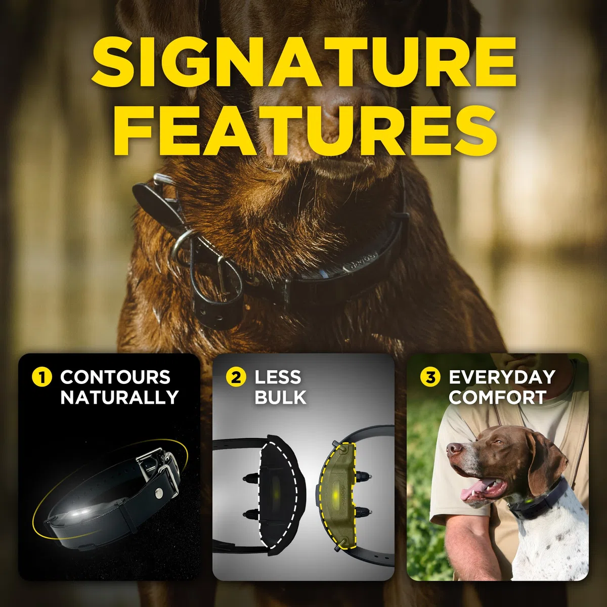 Dogtra ARC-X E-Collar para entrenamiento de perros, rango de 3/4 millas, para perros de 15 libras +, diseño delgado, IPX9K impermeable, 100 niveles de estimulación, vibración, tono, recargable, dueños