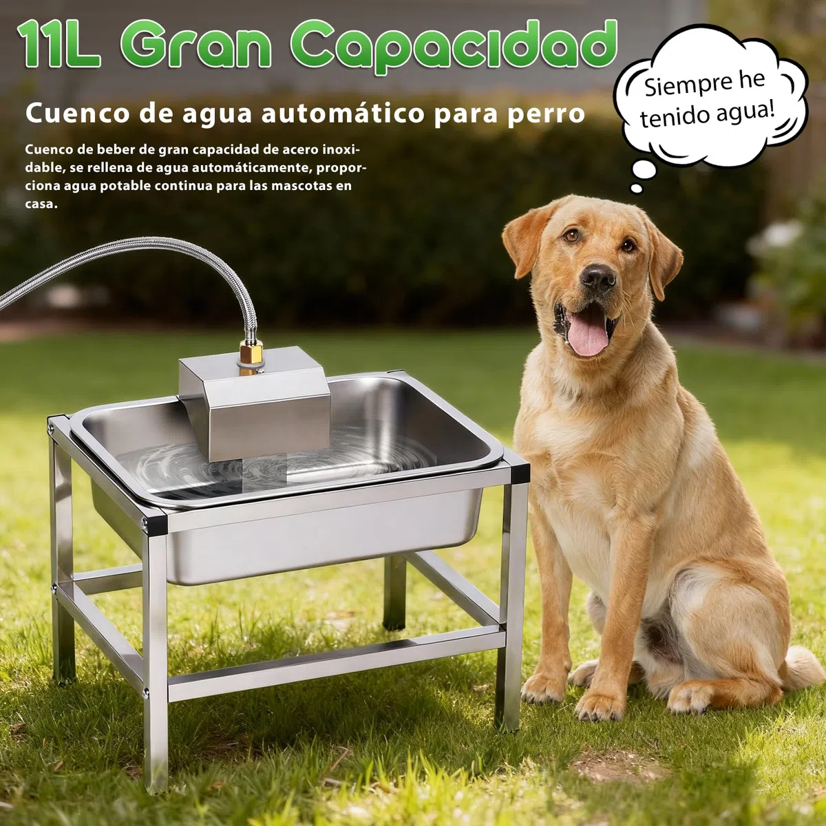 11L Bebedero Perro Acero Inoxidable,Bebederos Automaticos para can,Abrevadero con Soporte con VáLvula de Flotador,Bebedero Perro Automatico Exterior,11 Litros Bebedouro Cachorro Pequeño