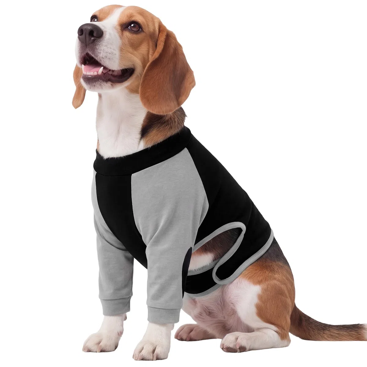 Kuoser Protector de heridas en la pata del perro, traje corporal para dejar de lamer después de la cirugía, chaleco quirúrgico para perros con acolchado de algodón para protector de heridas en la pata