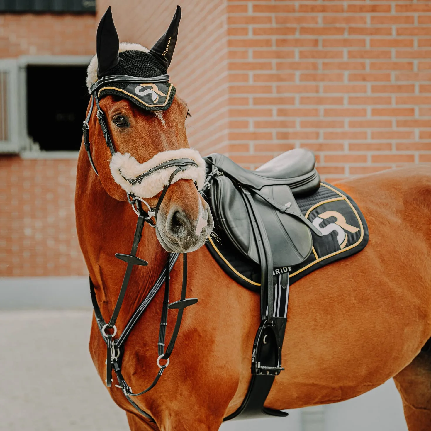 SUNRIDE Pettorale Cavallo in Pelle con martingala (Windsor) – attacco a 3-punti – forchetta martingala rimovibile – inserti elastici – regolabile (Full, Negro)
