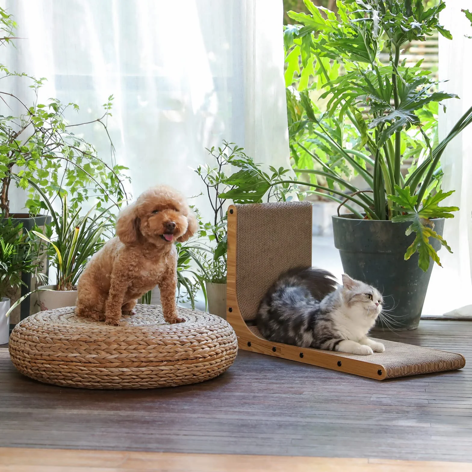 FUKUMARU Rascador para Gatos de 68 cm de Altura, rascador Vertical en Forma de L, con Pelota de Juguete, Alfombrillas rascadoras de cartón Paredes y Esquinas，Talla Grande